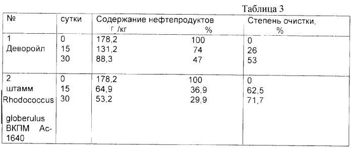 Штамм rhodococcus globerulus для разложения нефти и нефтепродуктов (патент 2299239)