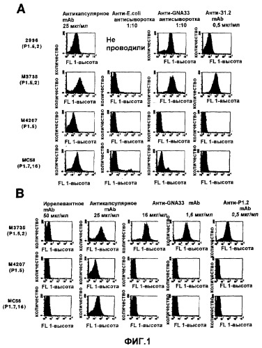 Моноклональное антитело, направленное против gna33 пептида, и его применение (патент 2355704)