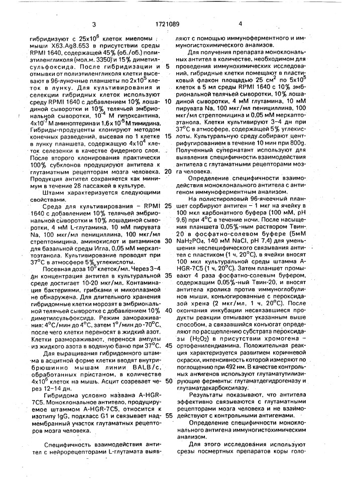 Штамм гибридных культивируемых клеток животных mus.мusсulus l.-продуцент моноклонального антитела к глутаматным рецепторам мозга человека (патент 1721089)