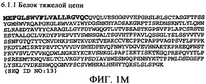 Применение антител к ctla-4 (патент 2346702)