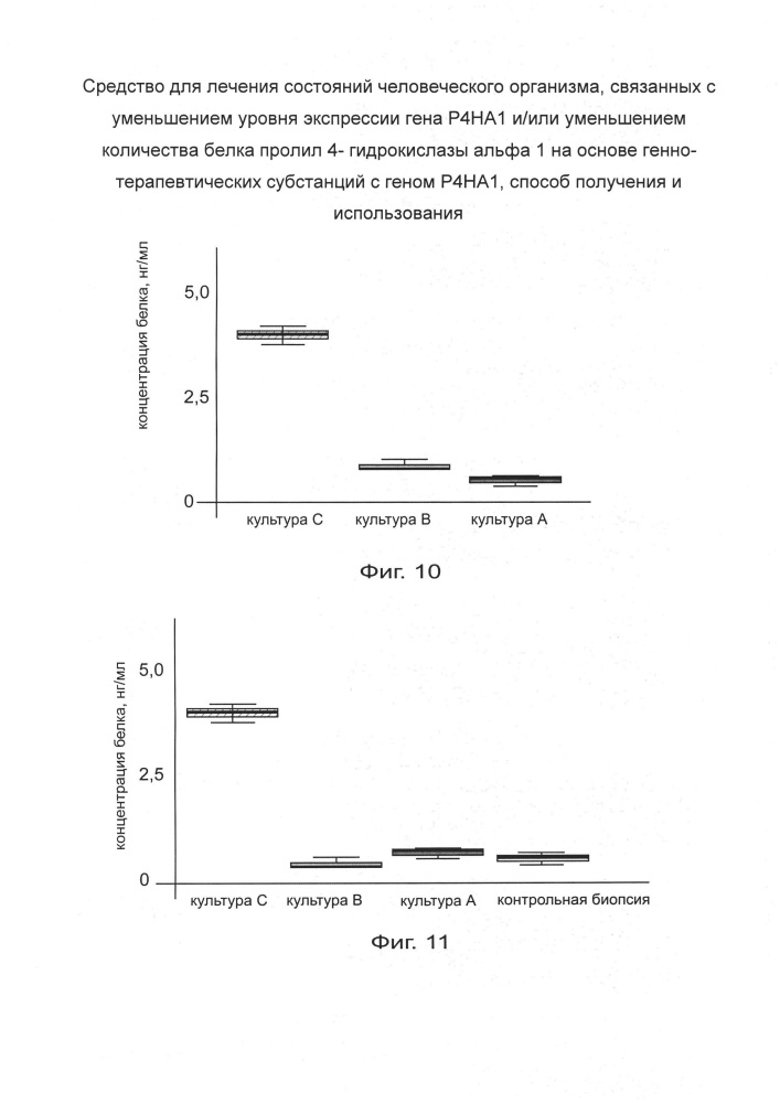 Средство для лечения состояний человеческого организма, связанных с уменьшением уровня экспрессии гена р4на1 и/или уменьшением количества белка пролил 4- гидрокислазы альфа 1 на основе генно-терапевтических субстанций с геном р4на1, способ получения и использования (патент 2658428)