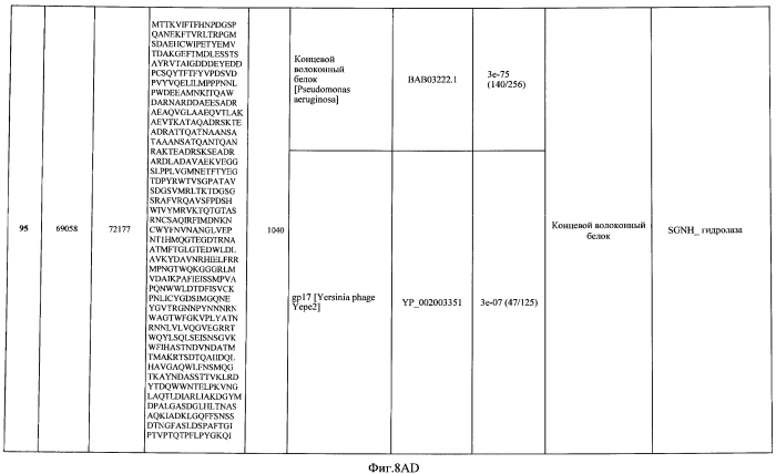 Бактериофаг, обладающий активностью против pseudomonas aeruginosa, белки бактериофага и способы их применения (патент 2580248)