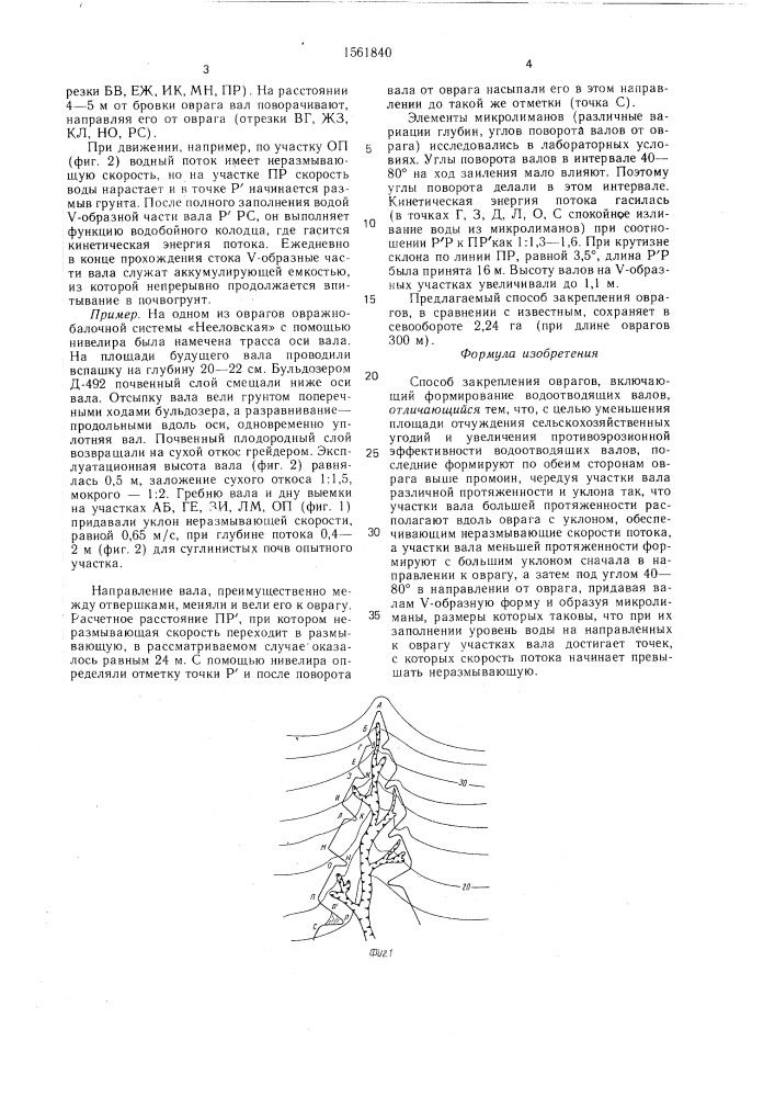 Способ закрепления оврагов (патент 1561840)