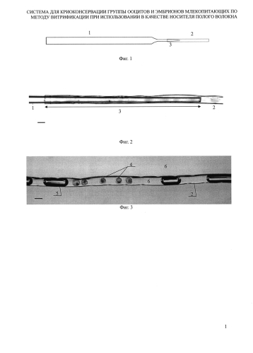 Система и устройство (варианты) для криоконсервации группы ооцитов и эмбрионов млекопитающих по методу витрификации при использовании в качестве носителя полого волокна (патент 2584584)