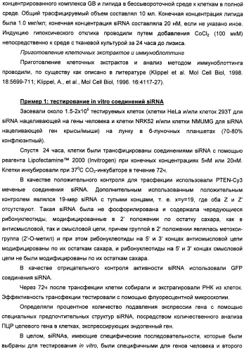 Новые структуры малых интерферирующих рнк (sirna) (патент 2487716)