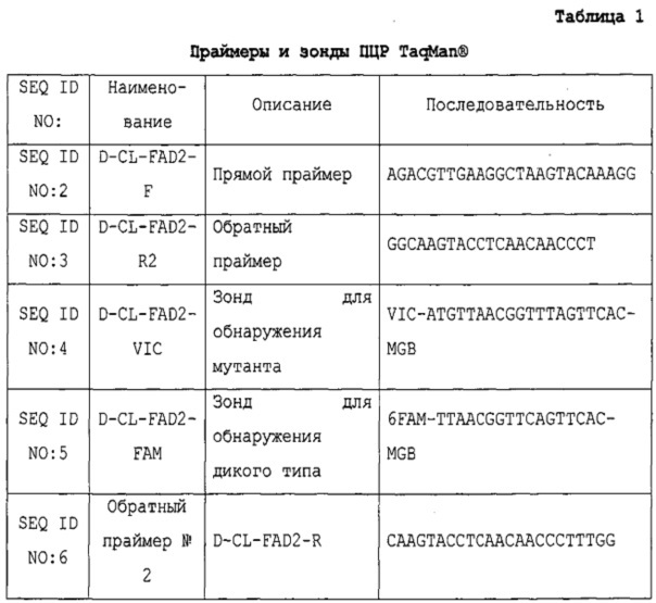 Способ определения зиготности гена fad-2 канолы с использованием пцр с детекцией по конечной точке (патент 2639508)