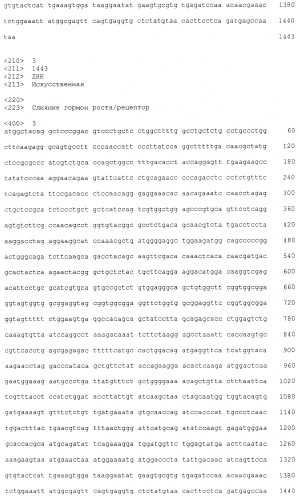 Слитые белки гормона роста (патент 2473554)