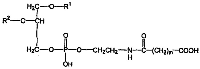 Новые композиции липосом (патент 2454229)