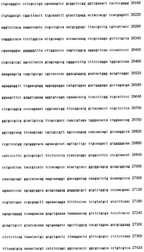 Конструирование рекомбинанта онколитического аденовируса, специфически экспрессирующего иммуномодуляторный фактор gm-csf в опухолевых клетках, и его применение (патент 2361611)