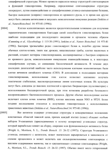 Конструкции слияния и их применение для получения антител с повышенными аффинностью связывания fc-рецептора и эффекторной функцией (патент 2407796)