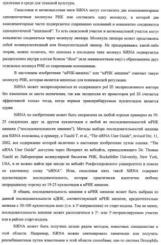 Идентификация опухолевых антигенов для диагностики и терапии (патент 2485974)