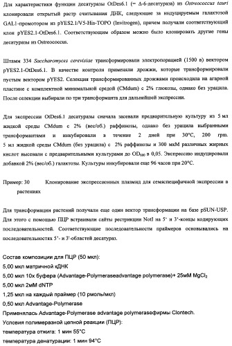 Способ получения полиненасыщенных кислот жирного ряда в трансгенных организмах (патент 2447147)