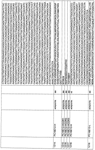 Pscaxcd3, cd19xcd3, c-metxcd3, эндосиалинxcd3, epcamxcd3, igf-1rxcd3 или fap-альфаxcd3 биспецифическое одноцепочечное антитело с межвидовой специфичностью (патент 2547600)