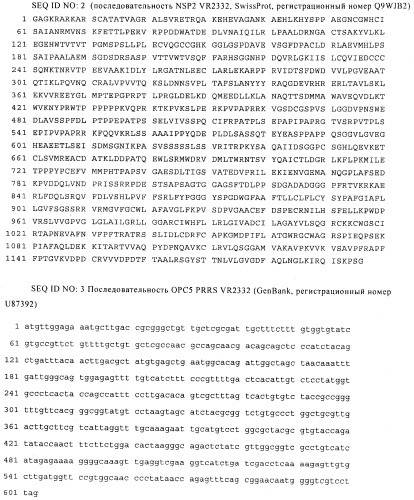 Вакцина против высокопатогенного репродуктивно-респираторного синдрома свиней (hp prrs) (патент 2561595)