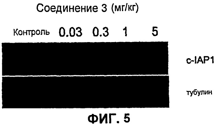 Соединения, связывающие домен bir белков iap (патент 2472780)