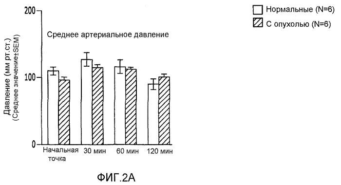 Способы, композиции и изделия, способствующие лечению рака (патент 2407527)