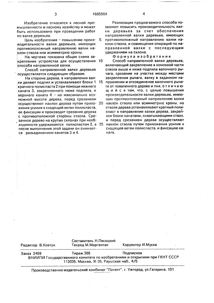 Способ направленной валки деревьев (патент 1665964)