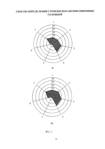 Способ определения степени поражения пшеницы головней (патент 2586284)