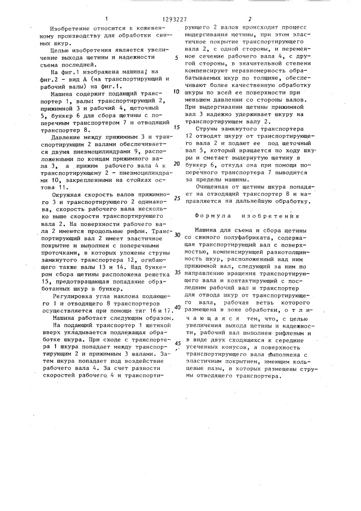 Машина для съема и сбора щетины со свиного полуфабриката (патент 1293227)