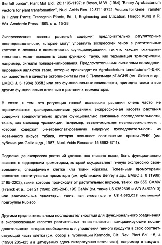 Способ получения полиненасыщенных кислот жирного ряда в трансгенных организмах (патент 2447147)