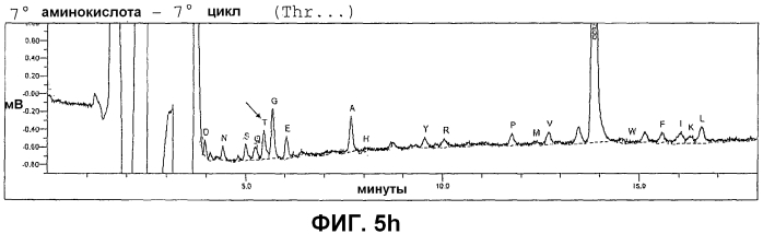 Внеклеточная гиалуронидаза из streptomyces koganeiensis (патент 2553205)
