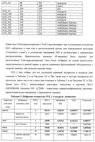 Изолированные полипептиды, кодирующие их полинуклеотиды, экспрессирующие их трансгенные растения и способы их использования (патент 2487166)