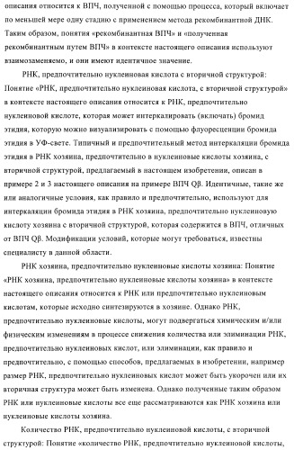 Конъюгаты впч-антиген и их применение в качестве вакцин (патент 2417793)