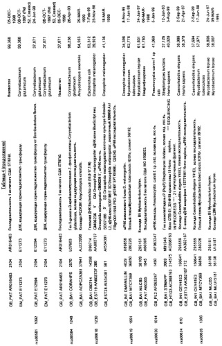 Гены corynebacterium glutamicum, кодирующие белки метаболических путей (патент 2306339)
