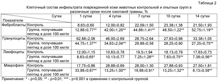 Применение синтетического аналога природного антимикробного пептида индолицидин для стимуляции репаративной регенерации кожи (патент 2543357)