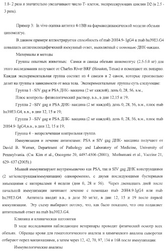 Человеческие антитела против человеческого 4-1вв (cd137) (патент 2376316)