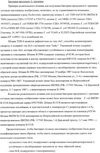 Способ получения l-аминокислот с использованием бактерии, принадлежащей к роду escherichia, в которой инактивирован один или несколько генов, кодирующих малые рнк (патент 2395567)