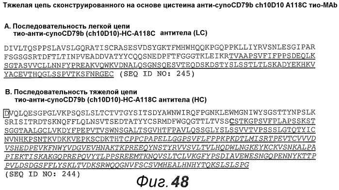 Анти-cd79b антитела и иммуноконъюгаты и способы их применения (патент 2553566)