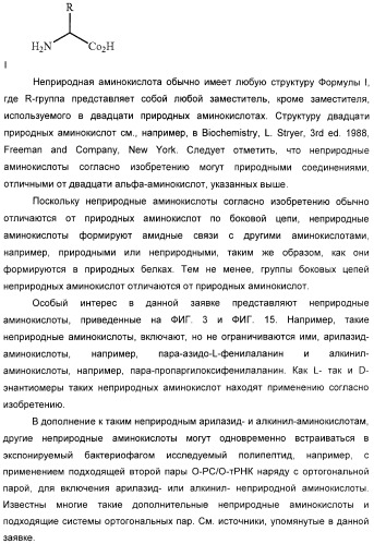 Селективная посттрансляционная модификация экспонируемых фагами полипептидов (патент 2459866)