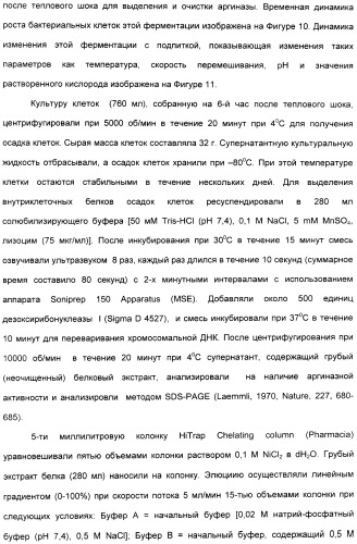 Фармацевтический препарат и способ лечения злокачественных опухолей у человека с помощью аргининовой депривации (патент 2335539)
