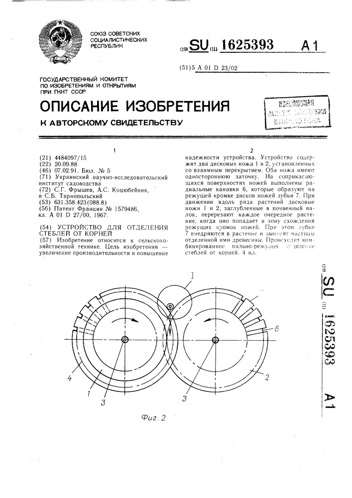 Устройство для отделения стеблей от корней (патент 1625393)