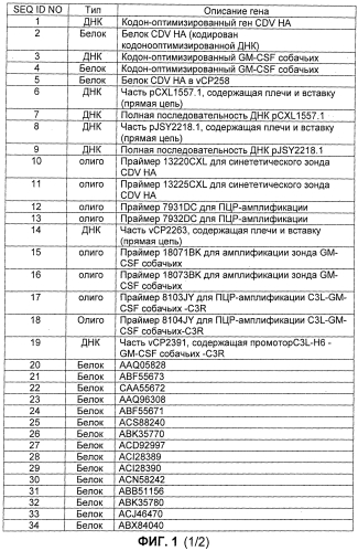 Композиции рекомбинантного cdv и ее применение (патент 2567337)