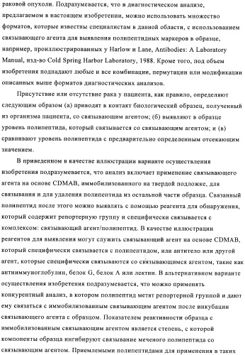 Химерные и гуманизированные антитела к cd44, которые опосредствуют цитотоксичность в отношении раковых клеток (патент 2487723)