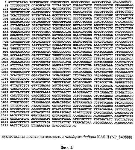 Смеси жирных кислот и их применение (патент 2483057)