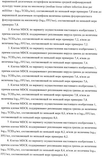Линии клеток почки собаки майдин-дэрби (mdck), поддерживающие рост вирусов до высоких титров, и способ применения этих клеток в биореакторе (патент 2487935)