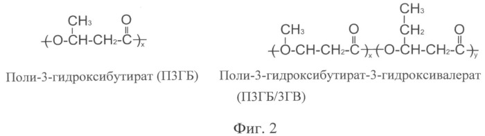 Гербицидное средство длительного действия для грунтового применения (патент 2494621)