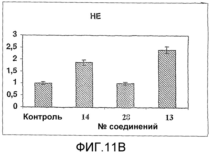 Полимерные олигонуклеотидные пролекарства (патент 2394041)