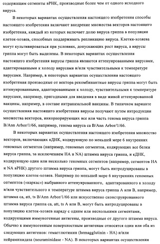Способы и композиции для экспрессии антисмысловой вирусной рнк в клетках собаки (патент 2457250)