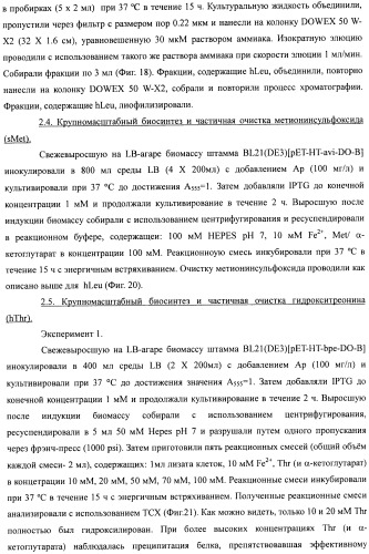 Способ получения гидроксилированной аминокислоты (варианты) и микроорганизм, трансформированный днк, кодирующей диоксигеназу (патент 2460779)