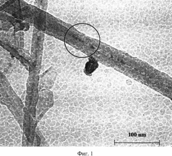 Способ заполнения нанотрубок тугоплавкими малорастворимыми соединениями (патент 2569693)