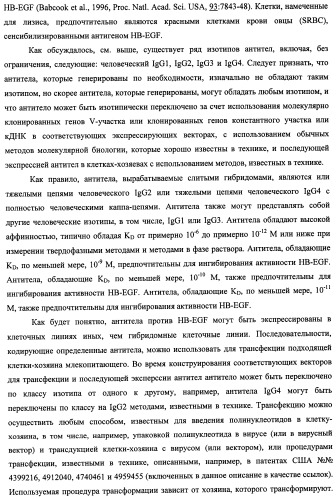 Белки, связывающие антиген фактор роста, подобный гепаринсвязывающему эпидермальному фактору роста (патент 2504551)