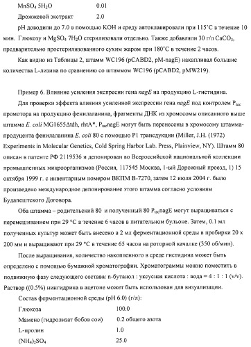 Способ получения l-аминокислот с использованием бактерии, принадлежащей к роду escherichia (патент 2312893)