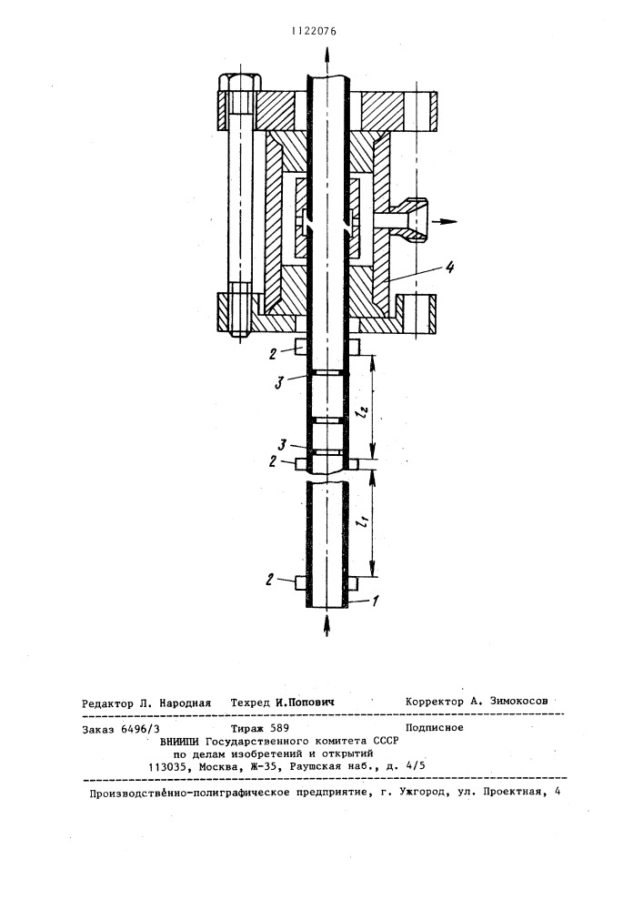 Способ определения характера распределения жидкости в двухфазном потоке теплоносителя (патент 1122076)
