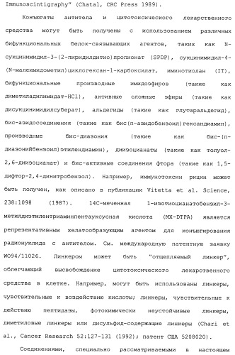 Антитела к her (патент 2504553)