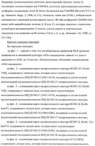 Связывающие молекулы, обладающие терапевтической активностью (патент 2386639)