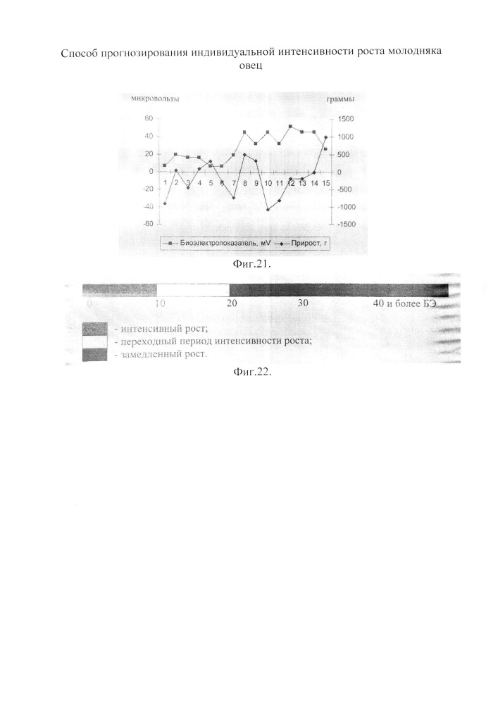 Способ прогнозирования индивидуальной интенсивности роста молодняка овец (патент 2662905)